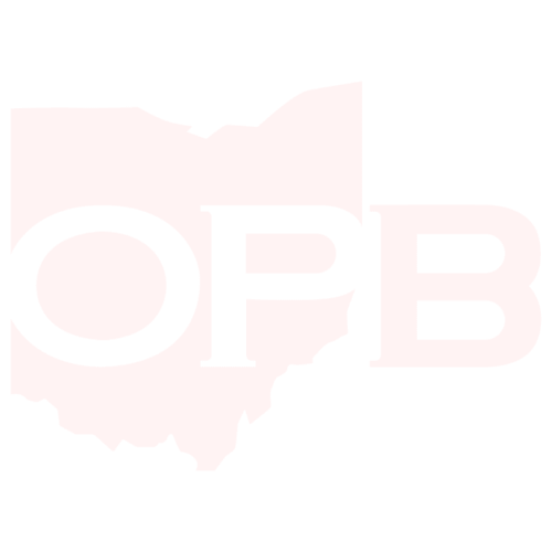 Ohio Property Brothers main logo 2 shadow